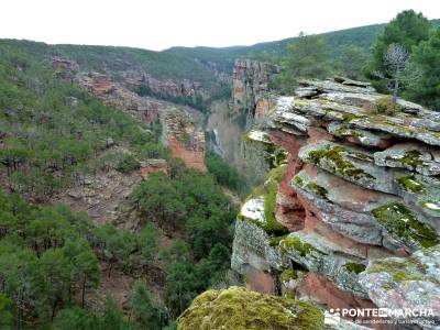 Hoces y cañones del Río Gallo --Rutas Senderismo;senderos locales